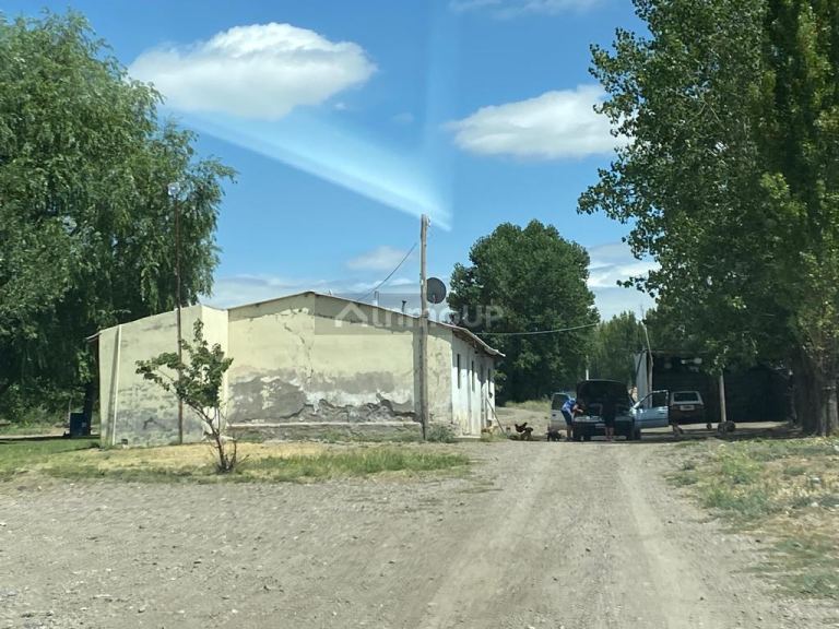Finca en Venta en Tupungato, Mendoza