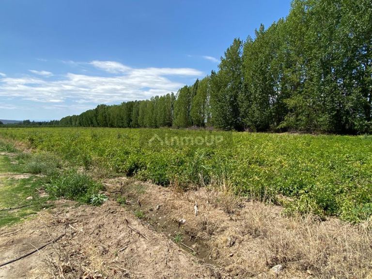 Finca en Venta en Tupungato, Mendoza