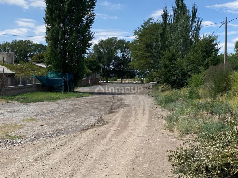 Finca en Venta en Tupungato, Mendoza