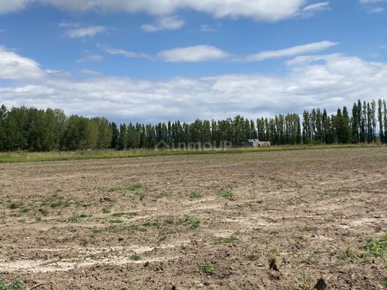 Finca en Venta en Tupungato, Mendoza