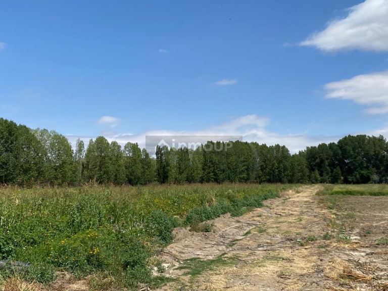 Finca en Venta en Tupungato, Mendoza