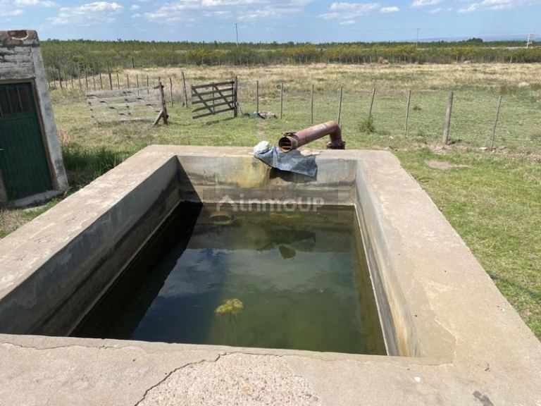 Finca en Venta en San Carlos, Mendoza