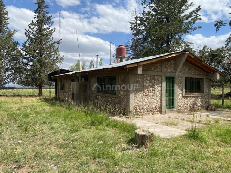 Finca en Venta en San Carlos, Mendoza