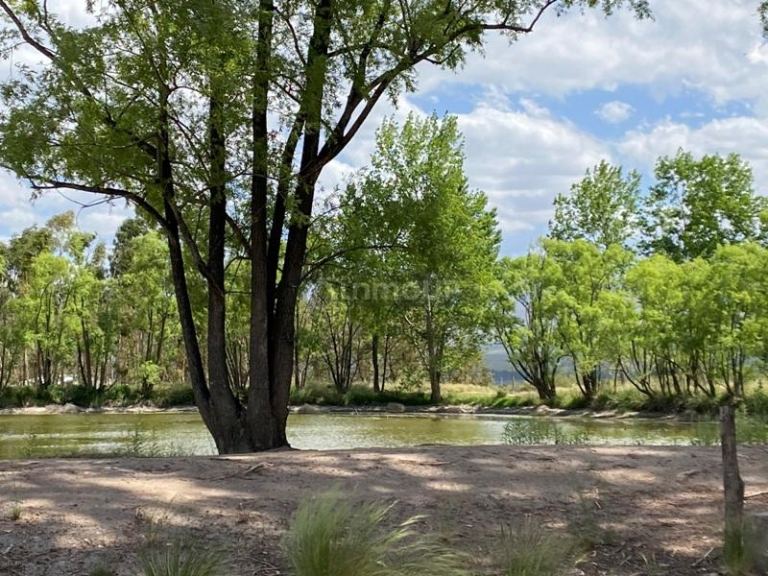 Finca en Venta en San Carlos, Mendoza