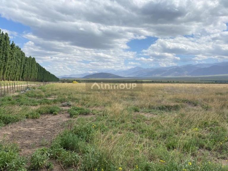 Finca en Venta en San Carlos, Mendoza
