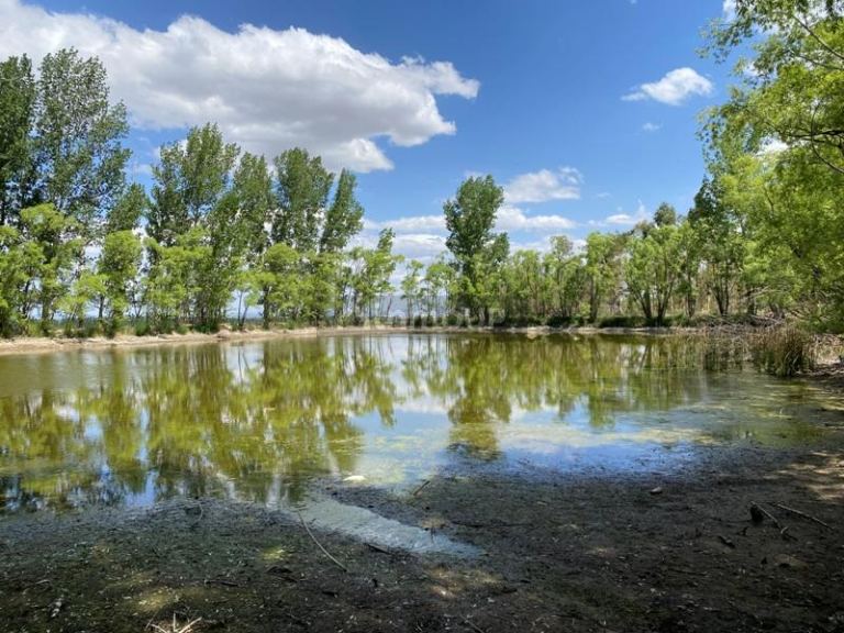 Finca en Venta en San Carlos, Mendoza