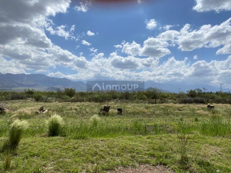 Finca en Venta en San Carlos, Mendoza