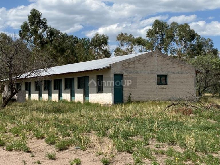 Finca en Venta en San Carlos, Mendoza