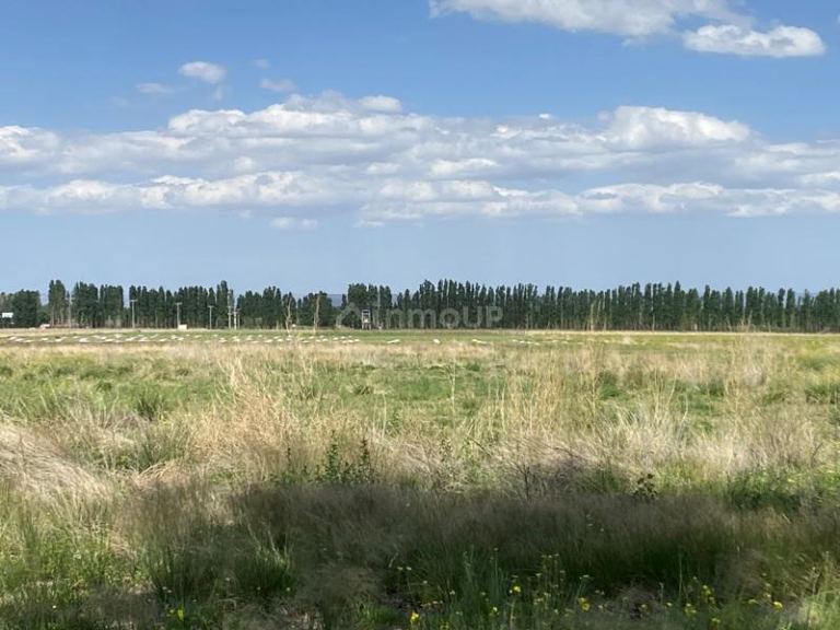 Finca en Venta en San Carlos, Mendoza