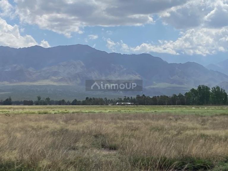 Finca en Venta en San Carlos, Mendoza