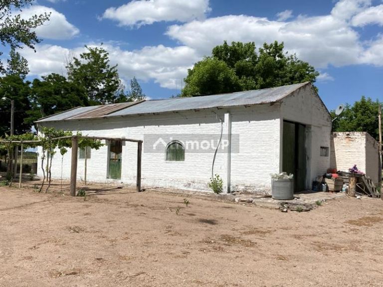 Finca en Venta en San Carlos, Mendoza