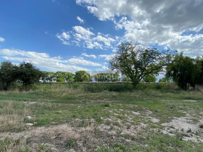 Finca en Venta en San Carlos, Mendoza