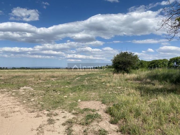 Finca en Venta en San Carlos, Mendoza