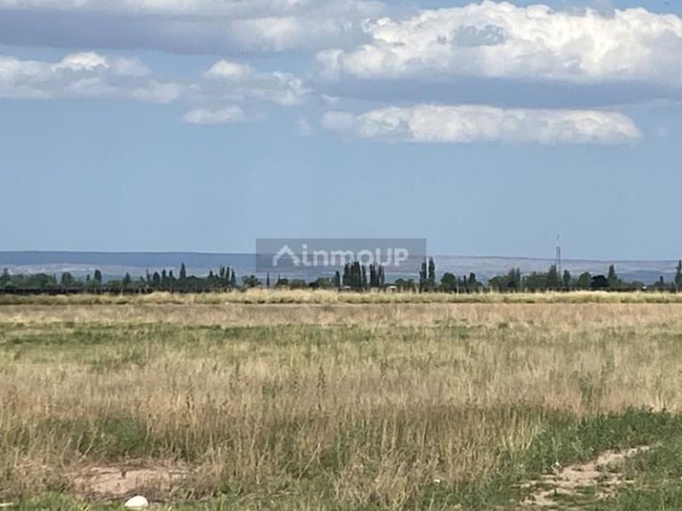 Finca en Venta en San Carlos, Mendoza