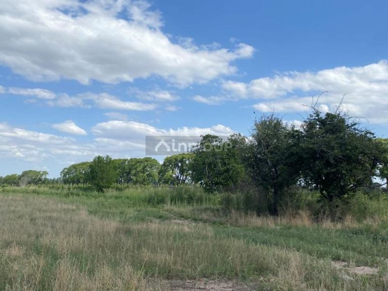 Finca en Venta en San Carlos, Mendoza