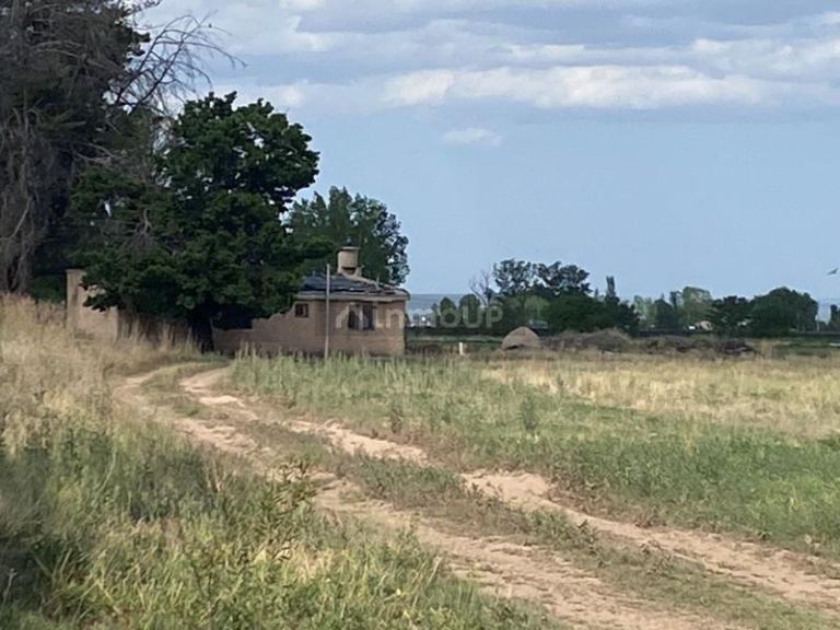 Finca en Venta en San Carlos, Mendoza