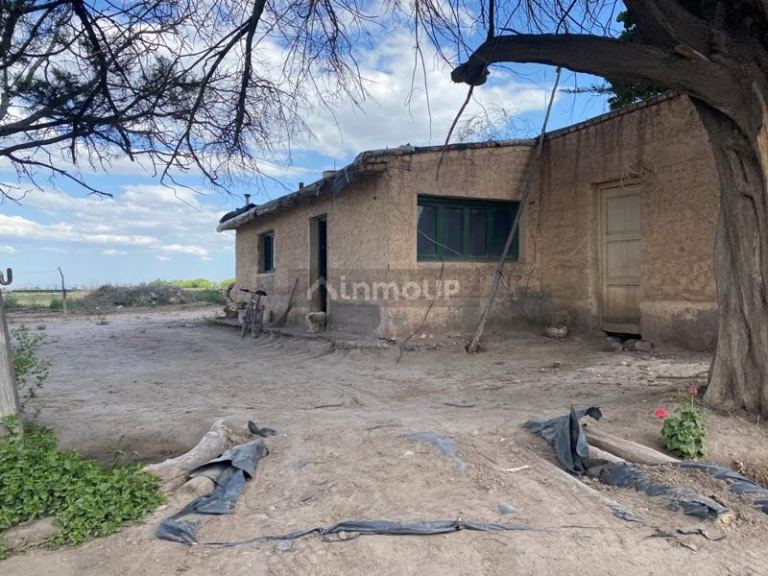 Finca en Venta en San Carlos, Mendoza