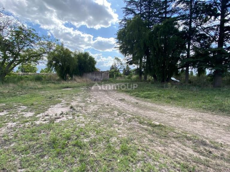 Finca en Venta en San Carlos, Mendoza