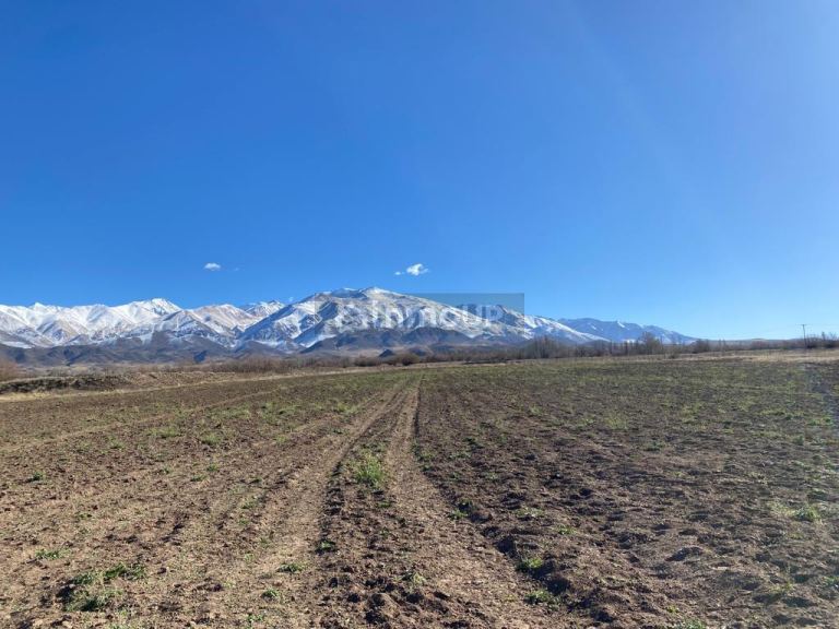 Terreno en Venta en Tupungato, Mendoza