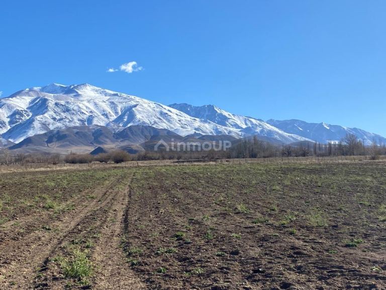 Terreno en Venta en Tupungato, Mendoza