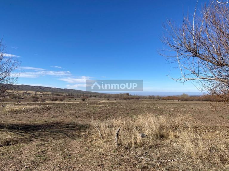 Terreno en Venta en Tupungato, Mendoza