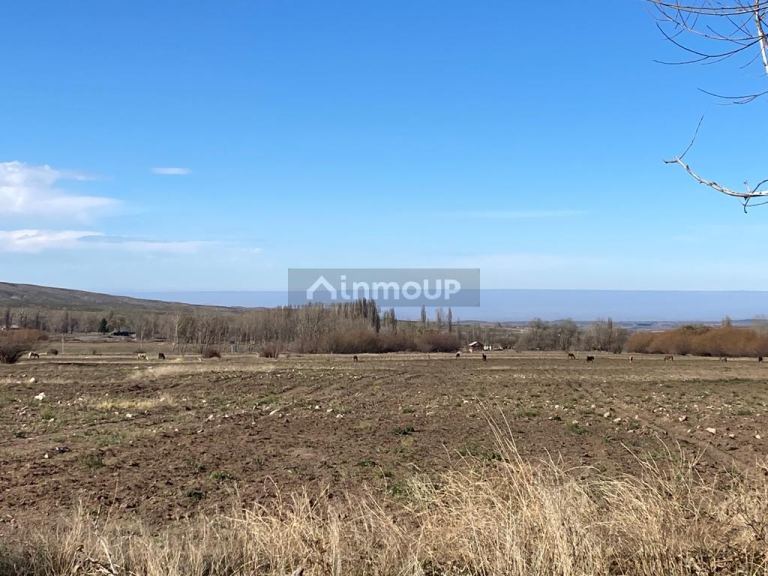 Terreno en Venta en Tupungato, Mendoza