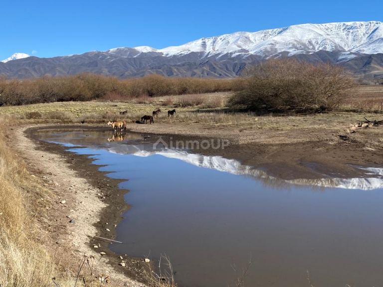 Terreno en Venta en Tupungato, Mendoza