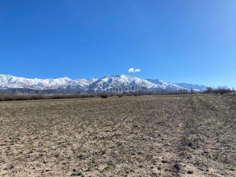Terreno en Venta en Tupungato, Mendoza