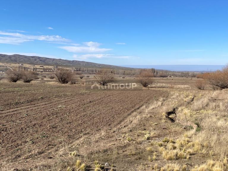 Terreno en Venta en Tupungato, Mendoza