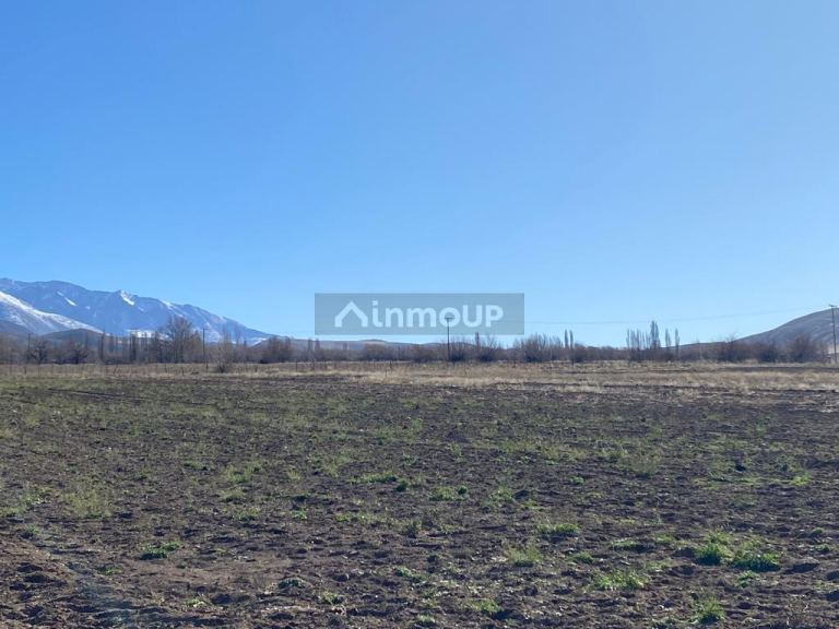 Terreno en Venta en Tupungato, Mendoza
