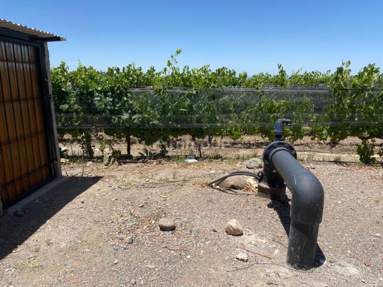 Finca en Venta en Tunuyan, Mendoza