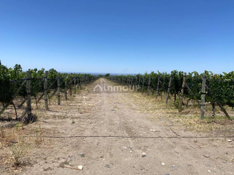 Finca en Venta en Tunuyan, Mendoza