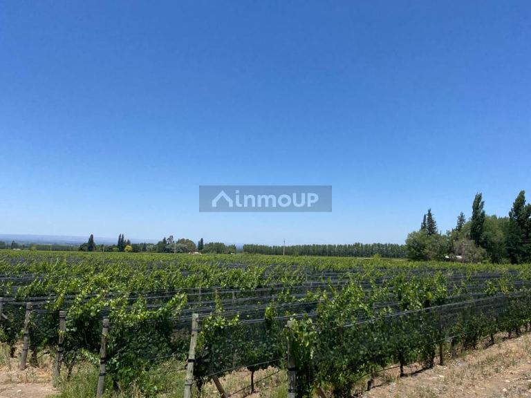 Finca en Venta en Tunuyan, Mendoza