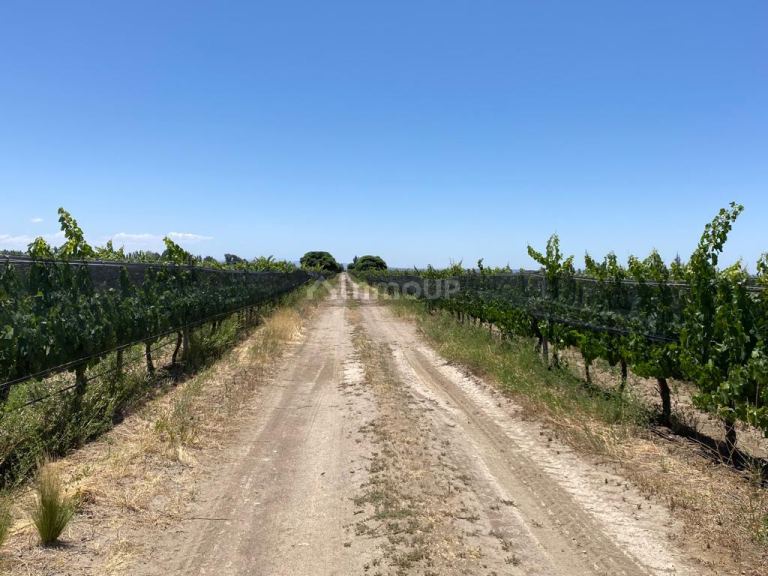 Finca en Venta en Tunuyan, Mendoza