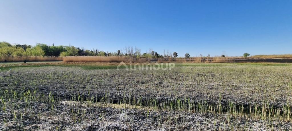 Lote en Venta en Guaymallen, Mendoza