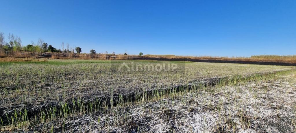 Lote en Venta en Guaymallen, Mendoza