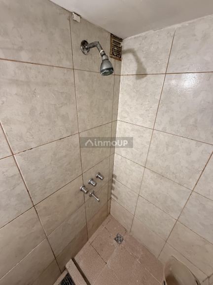 Capital Patricias mendocinas y colon