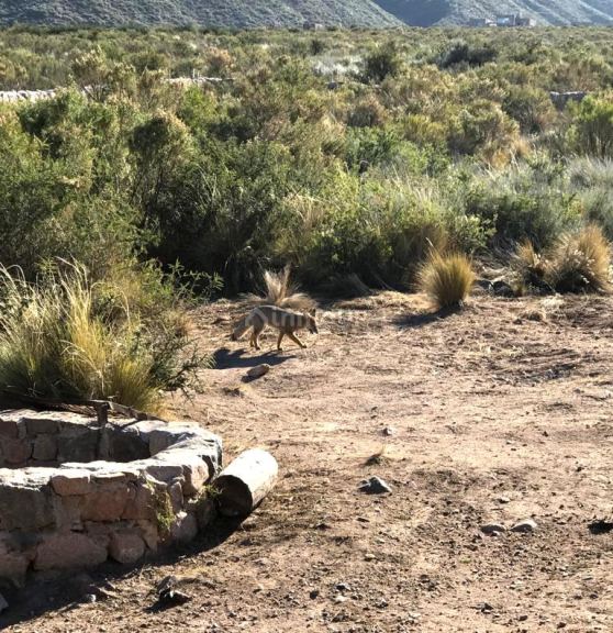 Lote en Venta en Las Heras, Mendoza