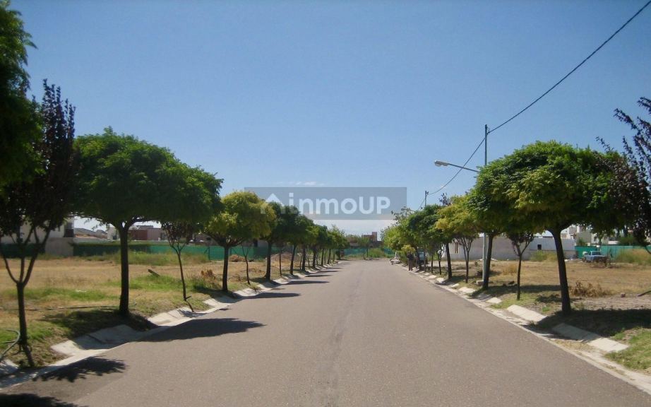 Lote en Venta en Lujan de Cuyo, Mendoza