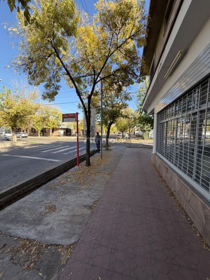 Local Comercial en Venta en Lujan de Cuyo, Mendoza