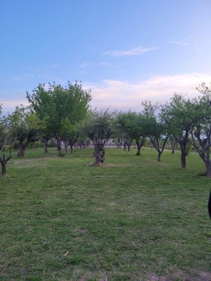 Negocio en Venta en Maipu, Mendoza