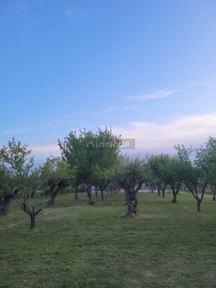 Negocio en Venta en Maipu, Mendoza