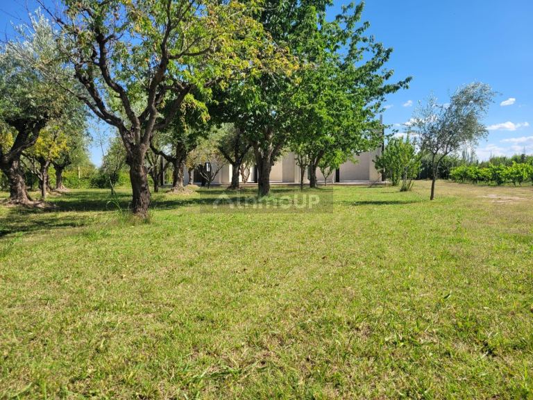 Negocio en Venta en Maipu, Mendoza