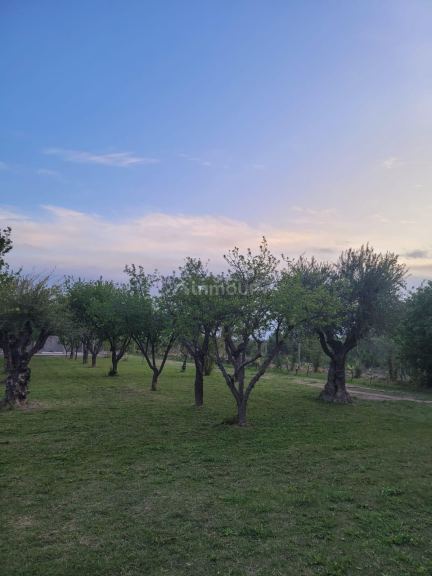 Negocio en Venta en Maipu, Mendoza