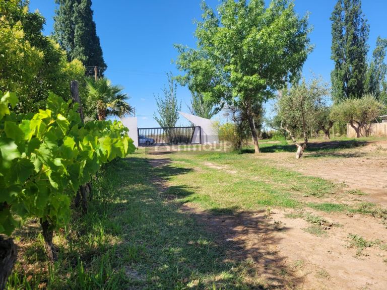 Negocio en Venta en Maipu, Mendoza
