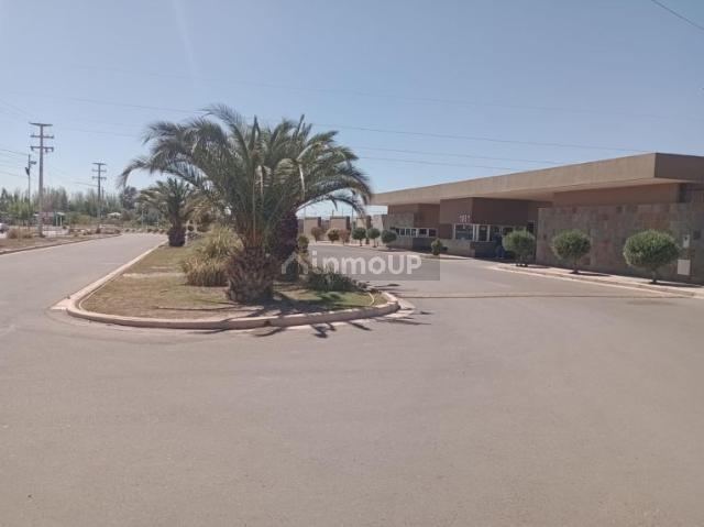 Lote en Venta en Maipu, Mendoza