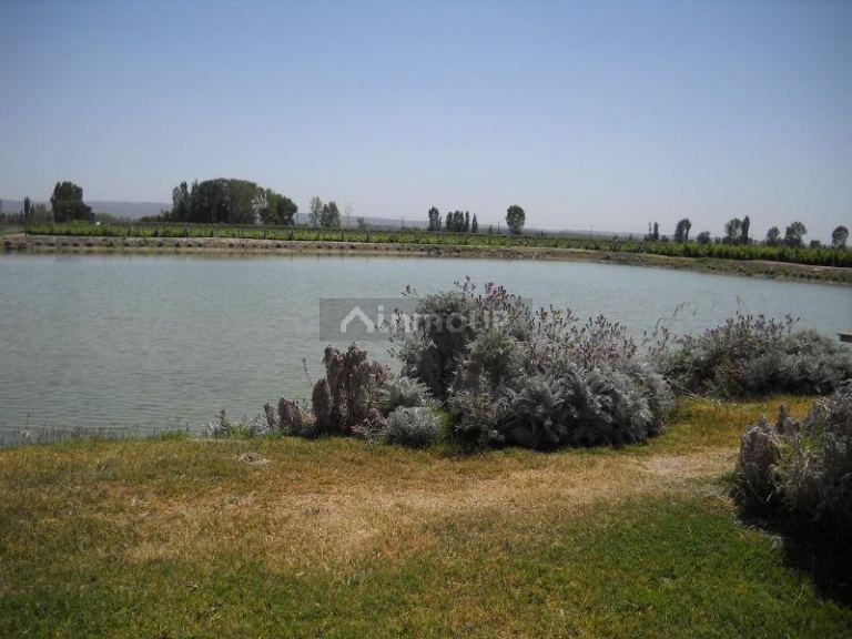 Bodega con Viñedo en Venta en Tupungato, Mendoza