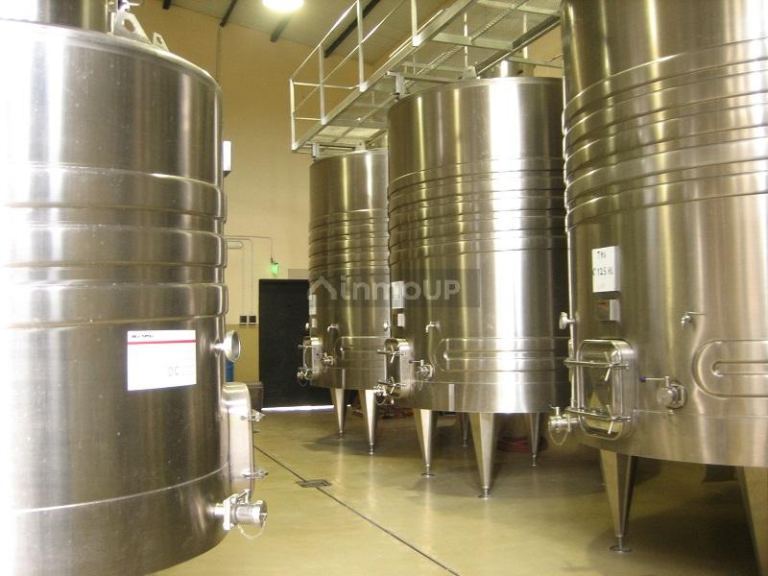 Bodega con Viñedo en Venta en Tupungato, Mendoza