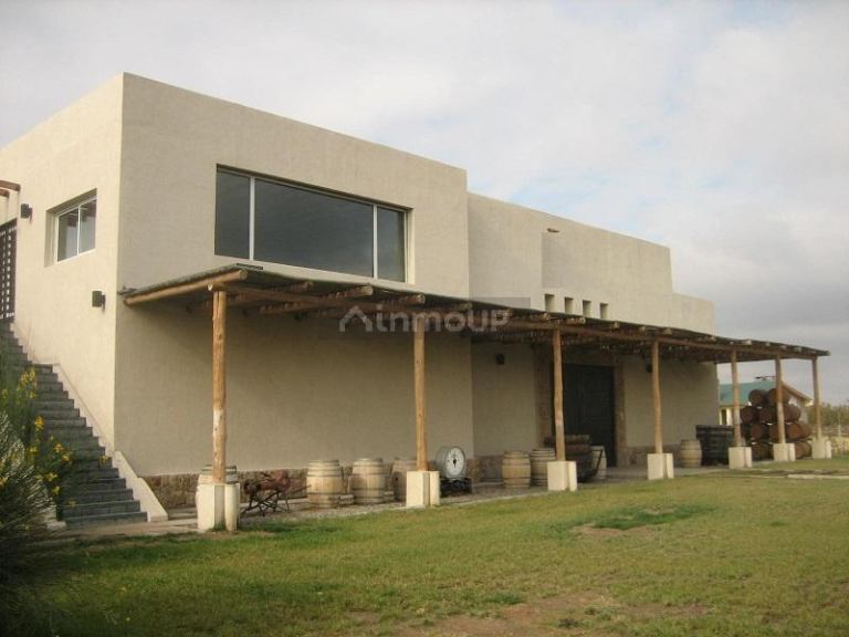 Bodega con Viñedo en Venta en Tupungato, Mendoza