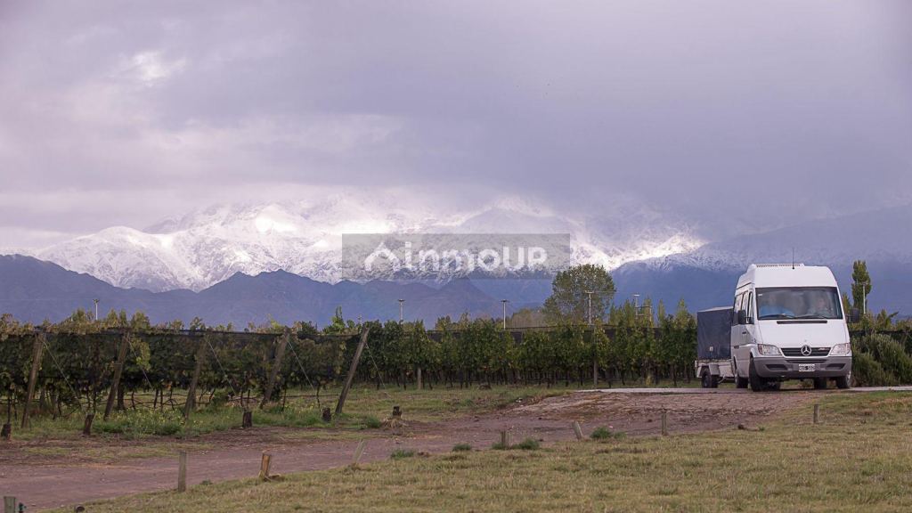 Finca en Venta en San Carlos, Mendoza